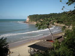 Madeiro photo