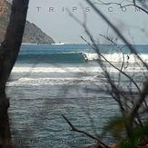 Real Surf Trips