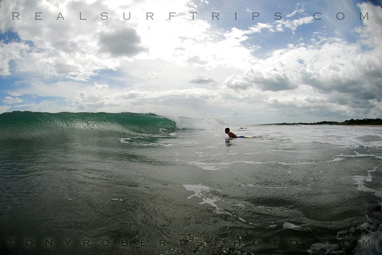 A Real Surf Vacation