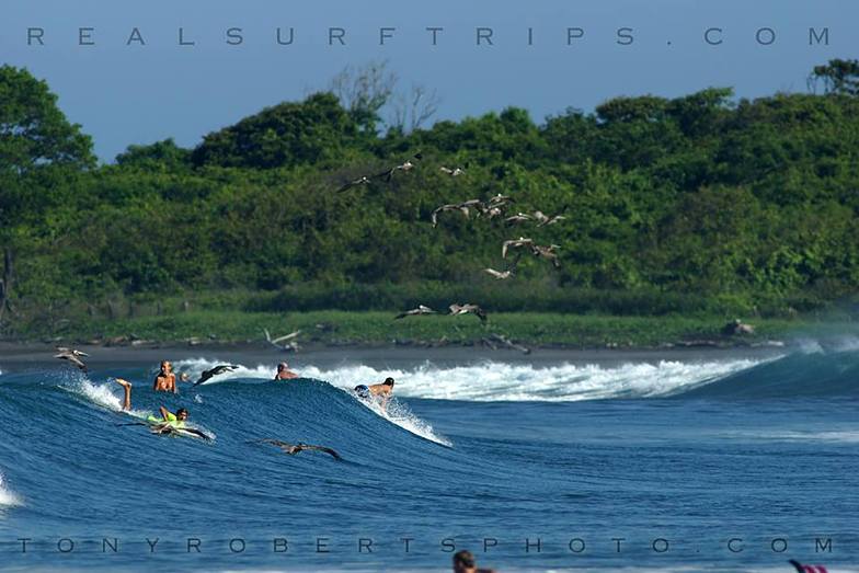 A Real Surf Vacation