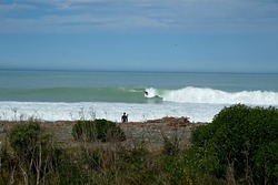 Kahutara photo