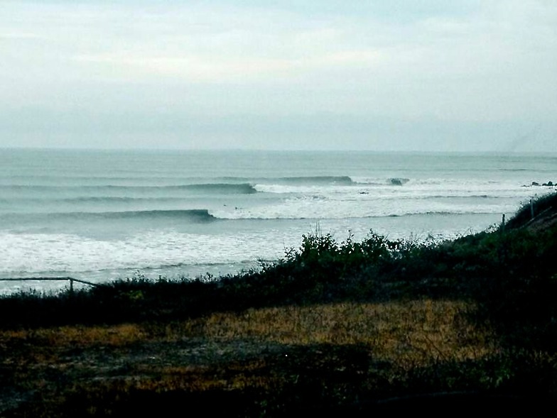 Sharkbay surf break