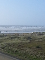 Ocean Shores Tide Chart