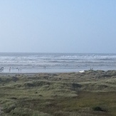 Ocean Shores