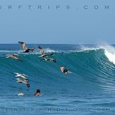 Surfing Costa Rica, Playa Negra