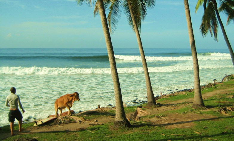 Punta Roca surf break