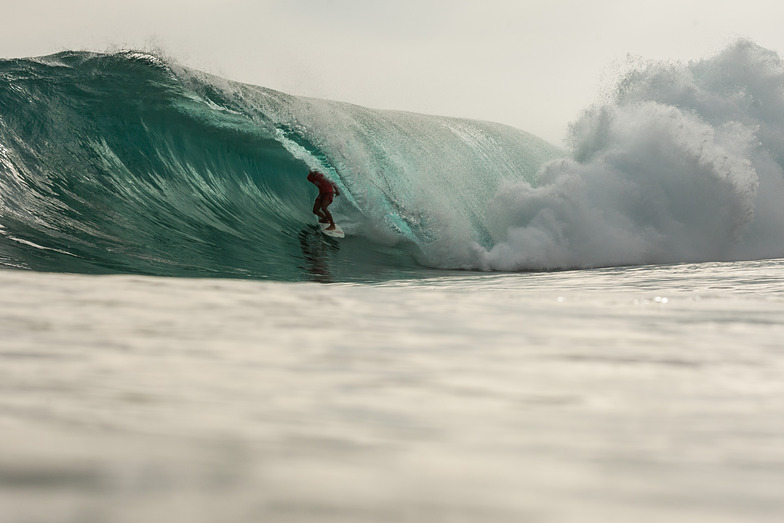 MAJESTIC SURFING CUP 2014 FINALS, Majestics