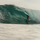 MAJESTIC SURFING CUP 2014 FINALS, Majestics