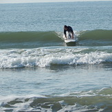 TJ Popping Up Aug 2014, Apache Pier