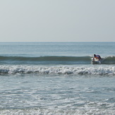 Hank Popping Up Aug 2014, Apache Pier