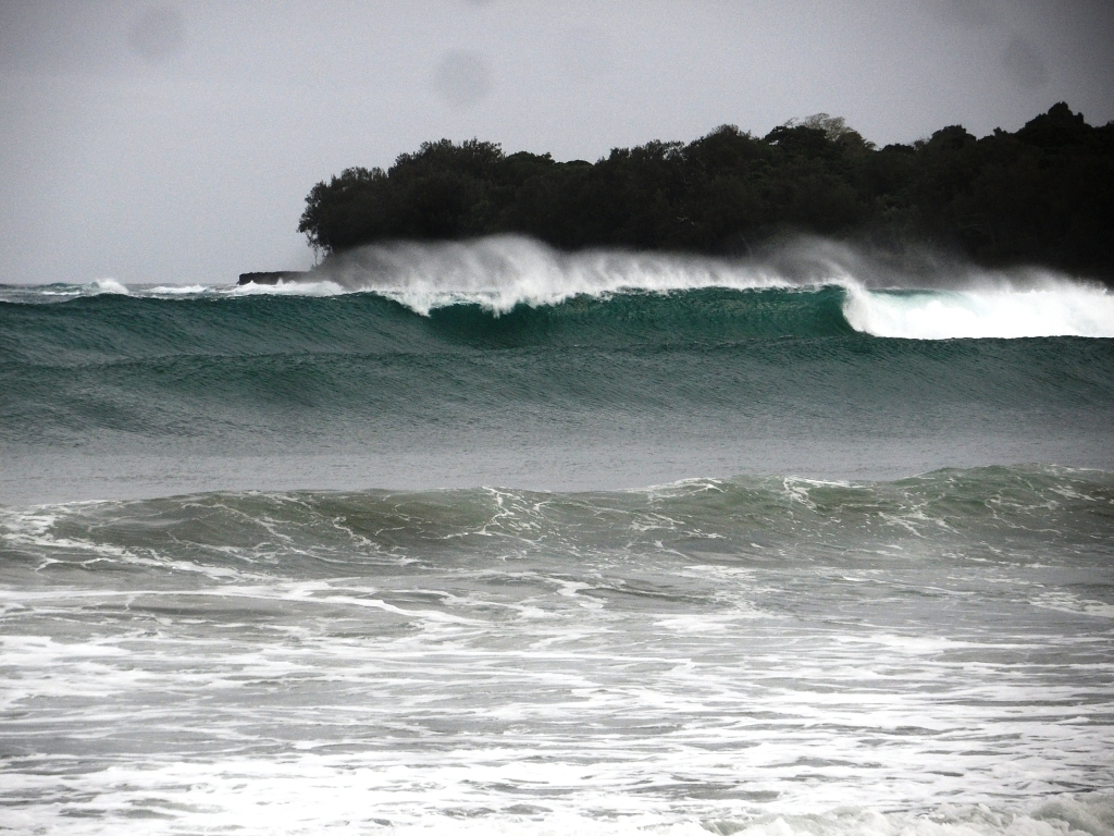 Shark bay, Shark Bay Rivermouth (and Reef)