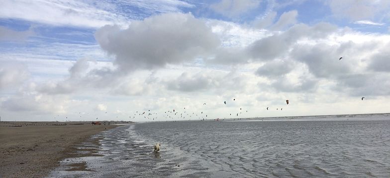 Kite Surfers, Camber Sands