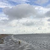 Kite Surfers, Camber Sands