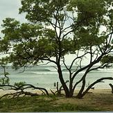 Real Surf Trips, Playa Negra