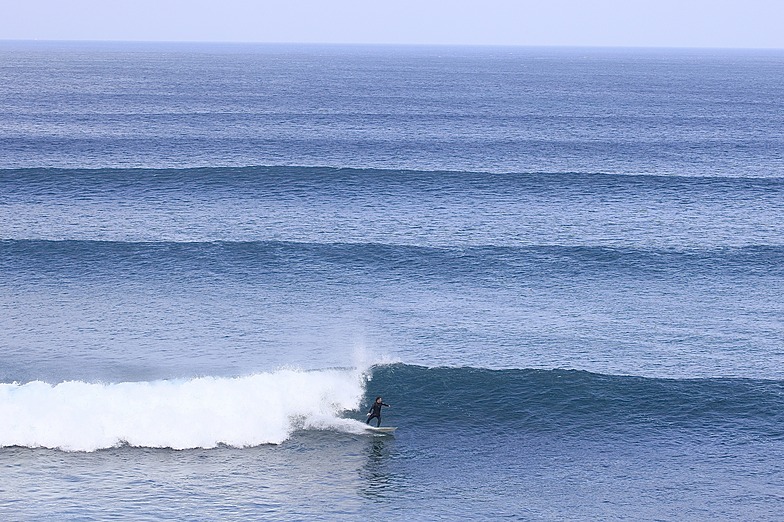 THE POINIT LINES