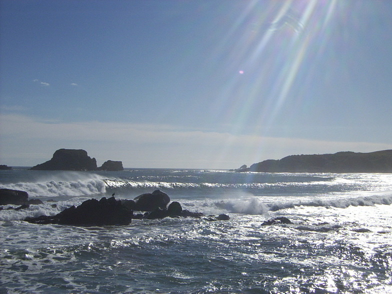 Tauranga Bay