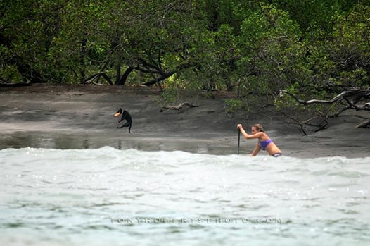 Real Surf Trips, Playa Negra