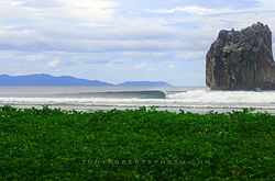 A Real Surf Vacation, Roca Bruja - Witch's Rock photo