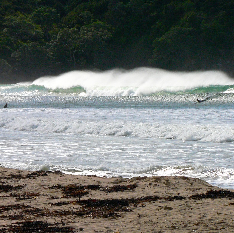 Offshore Day, Taupo Bay