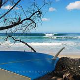 Surfing Costa Rica, Playa Negra