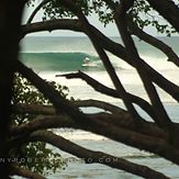 A Real Surf Vacation, Playa Negra