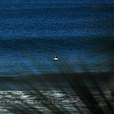 A Real Surf Vacation, Playa Negra