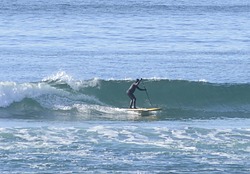Joe Morgan - SUP Surfer, Arcadia photo
