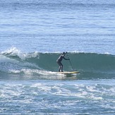 Joe Morgan - SUP Surfer, Arcadia