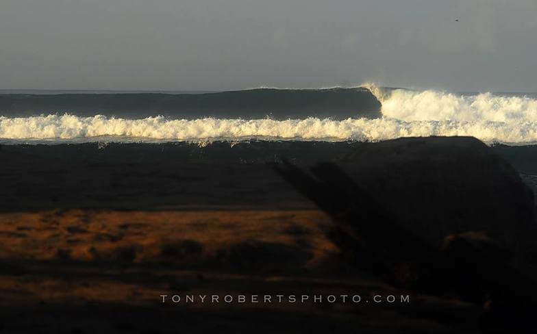 A Real Surf Vacation