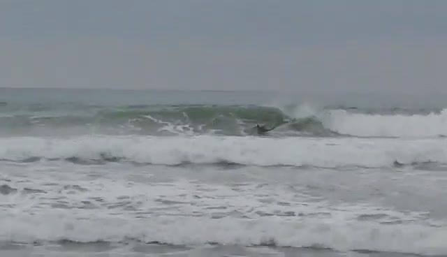 Ayampe surf break