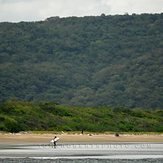 Surfing Costa Rica