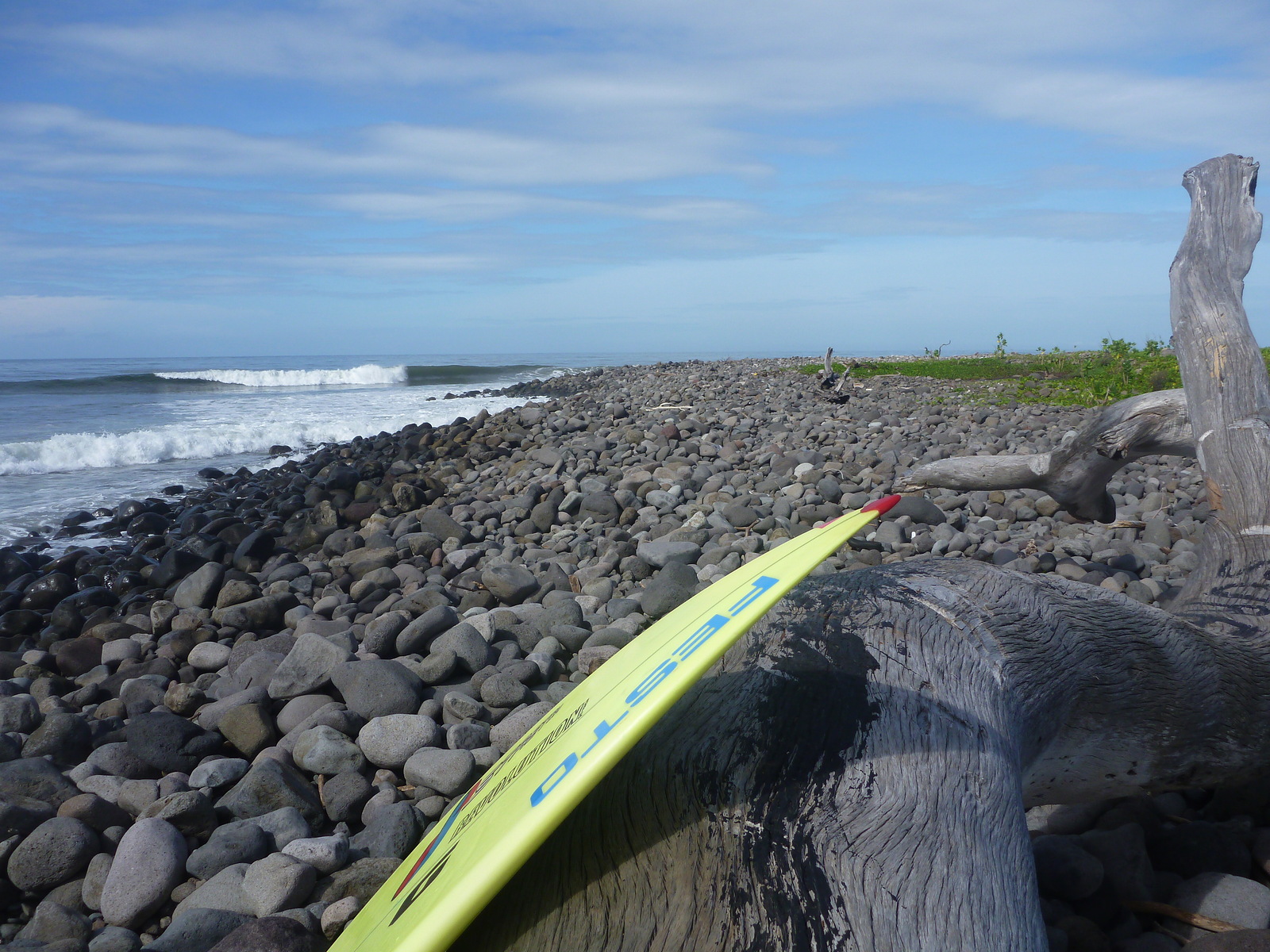 Gray Blue Green, Punta Mango