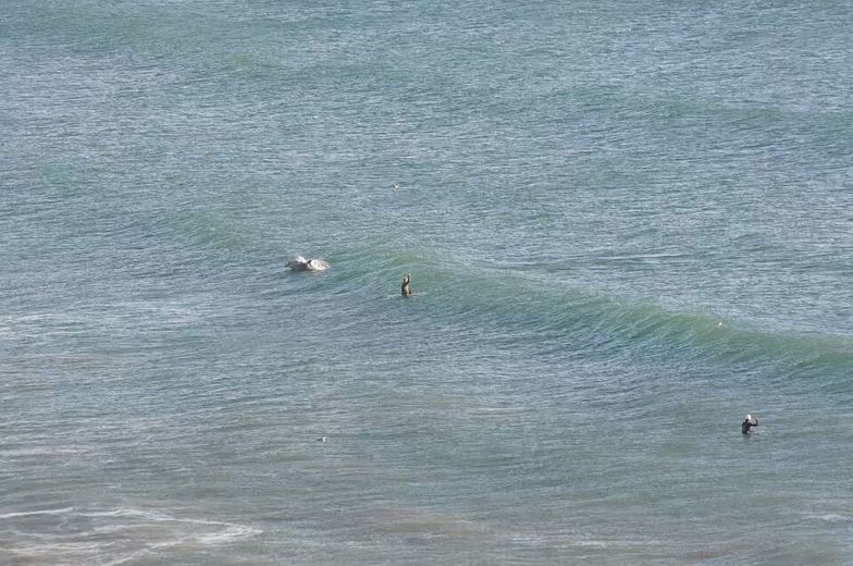 Pismo Beach Pier surf break