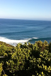 Whites Reef photo