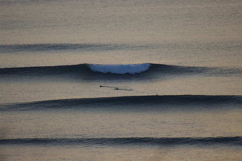 Lines of surf
