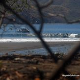 Boat Trip, Playa Negra