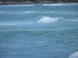 average waveconditions around High Tide, St Tugen photo