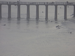 Dolphins by the Pismo Pier Jan 11 2015, Pismo Beach Pier photo
