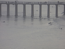 Dolphins by the Pismo Pier Jan 11 2015, Pismo Beach Pier photo