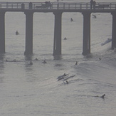 Dolphins by the Pismo Pier Jan 11 2015, Pismo Beach Pier