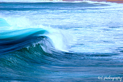 Woonona Beach photo