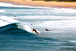 Woonona Surfer photo