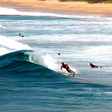 Woonona Surfer