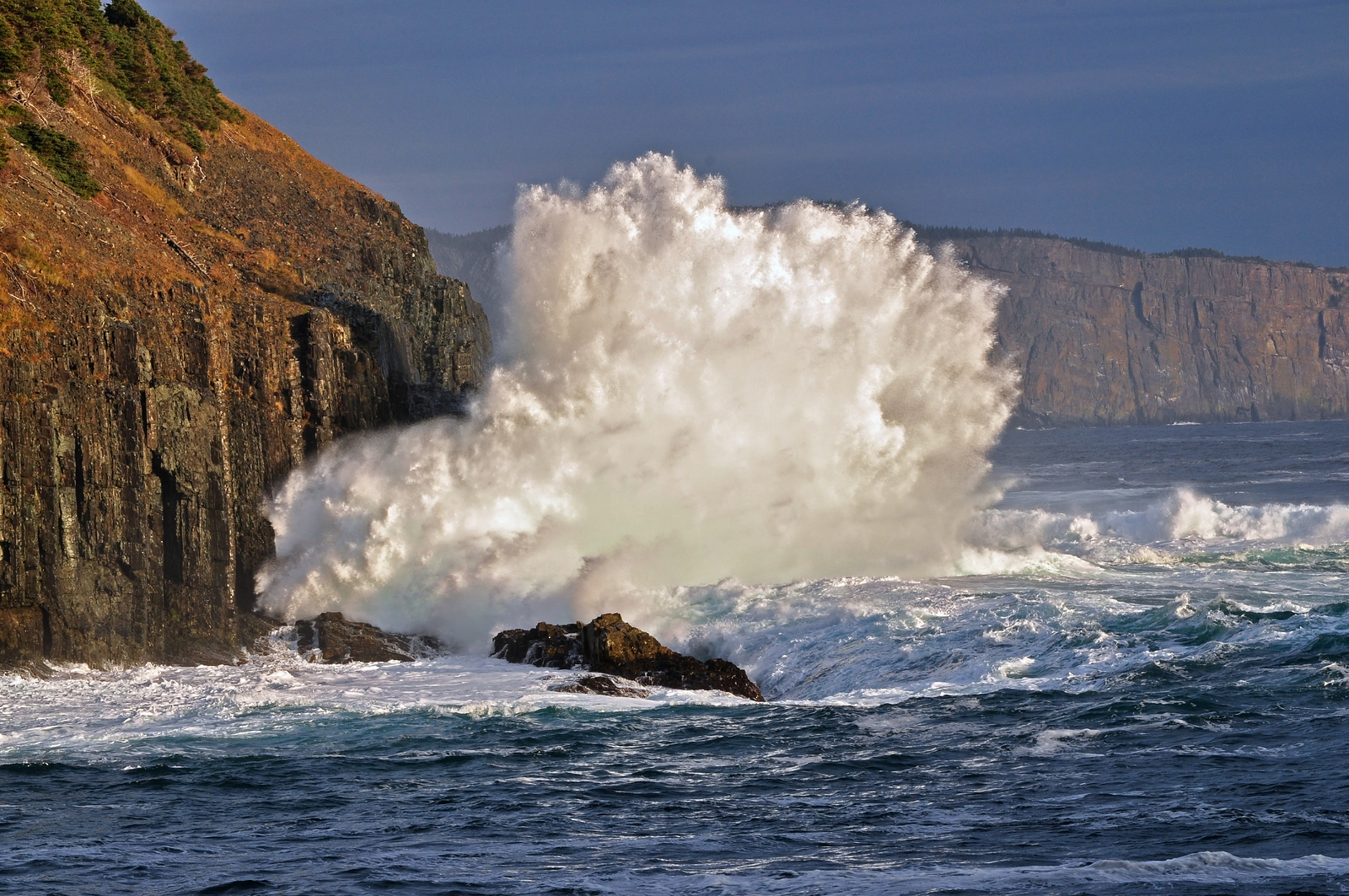 Middle Cove Blowback