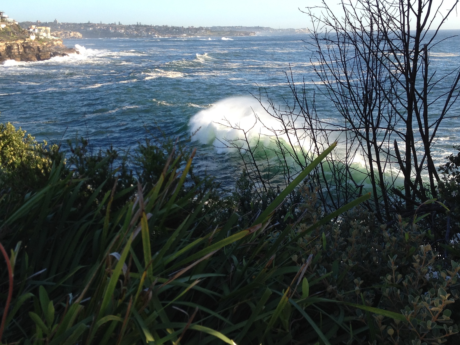 Whitehorse, Lurline Bay