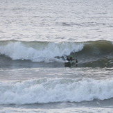 Afternoon Surf, Aberystwyth harbour trap