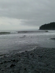 Port Renfrew photo