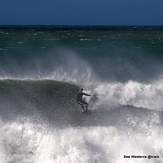 Lyall Bay