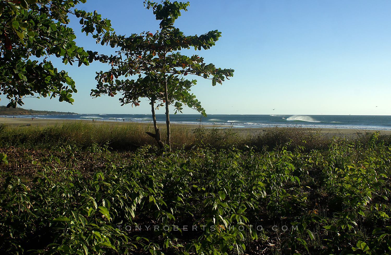 Sweet Juice, Playa Negra