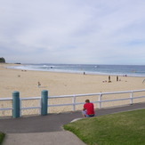 Nobbys Reef